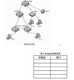 2012年10月全國自考《網(wǎng)絡工程》試題解析與參考答案